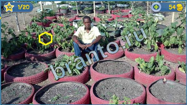 Где кот прохождение игры