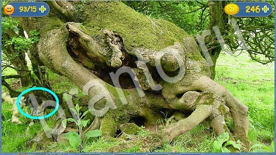 Где кот? помощь уровень 1770