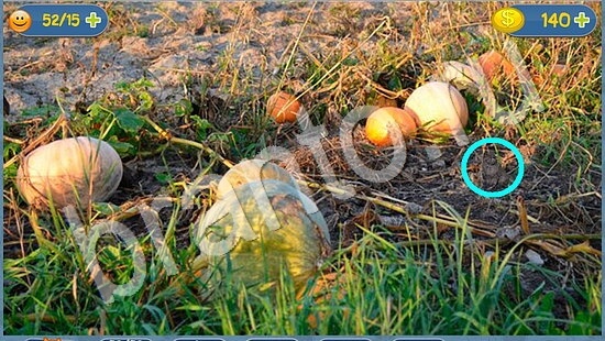 ответы на игру в одноклассниках Где кот уровень 1806