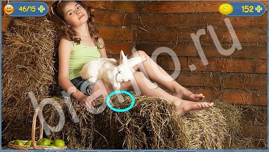 Где кот? решения уровень 1812