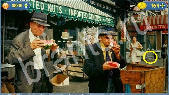 Игра Где кот подсказки уровень 1818