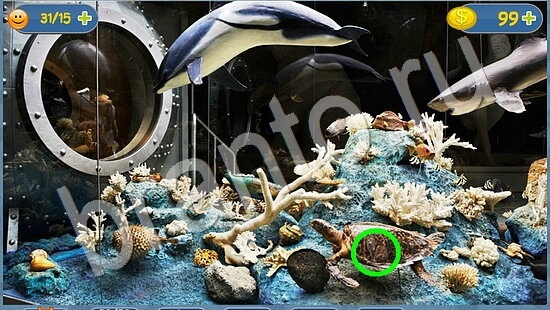 ответы Где кот