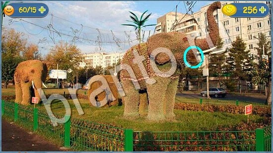 Где кот? ответы уровень 1848