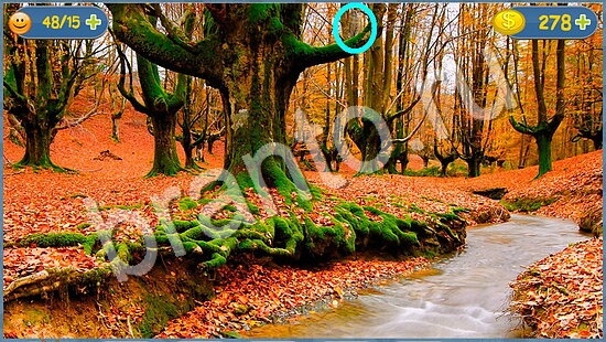 игра Где кот помощь уровень 1859