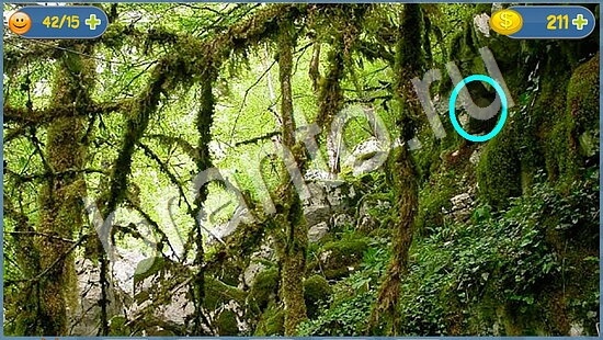 ответы Где кот