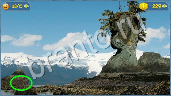 Где кот игра ответы