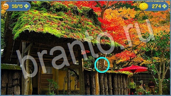 ответы для игры Где кот