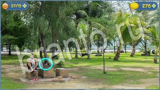 решения для игры Где кот