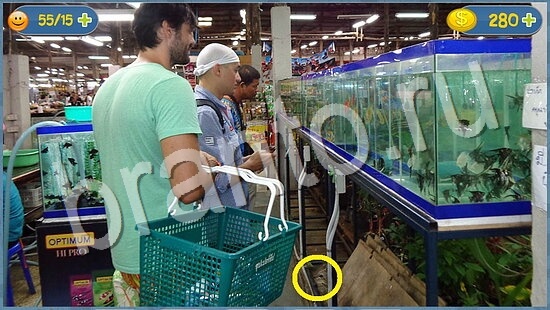 игра в одноклассниках Где кот ответы