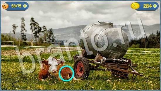 ответы на игру Где кот в скриншотах