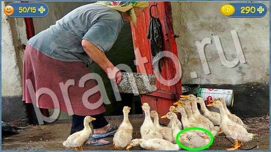 где кот ответы на игру уровень 1955