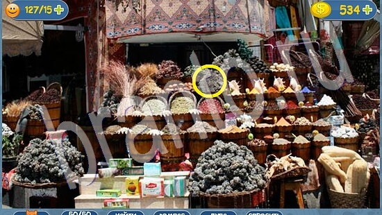 Где кот игра ответы уровень 2013