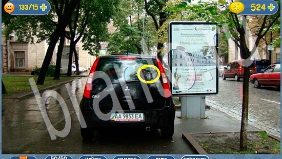 Где кот? ответы уровень 2008