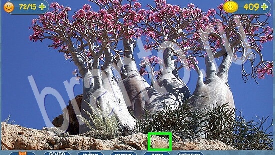 Прохождение игры Где кот