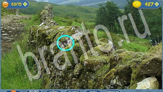 где кот ответы на игру уровень 2073