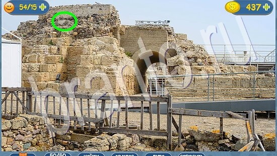 где кот ответы эпизод 104