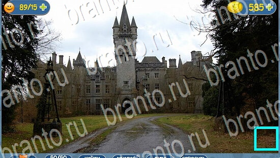 ответы к игре где кот уровень 2116