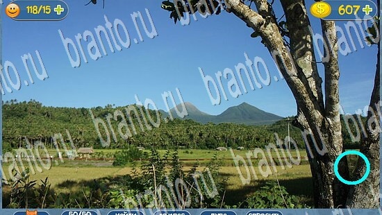 ответы Где кот? в одноклассниках