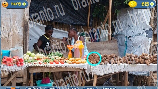 игра в одноклассниках Где кот ответы