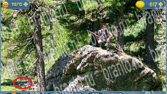 Где кот помощь в картинках