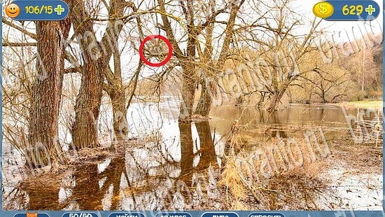 помощь на игру где кот уровень 2157