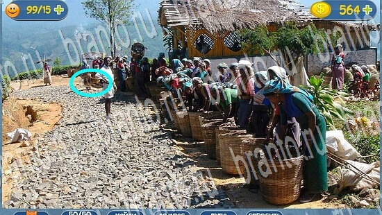 Помощь на игру Где кот уровень 2164