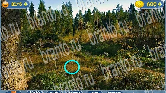 Игра Где кот ответы уровень 2177