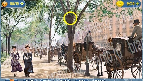 игра Где кот помощь уровень 2179