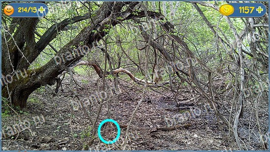 ответы Где кот