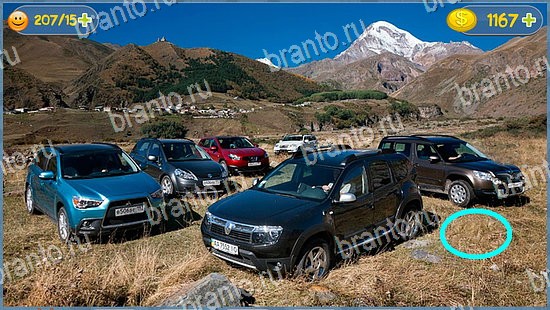 игра в одноклассниках Где кот ответы