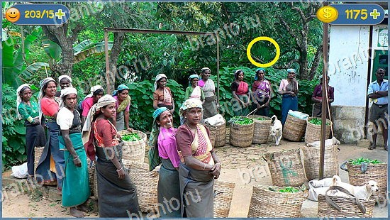 игра где кот подсказки уровень 2194