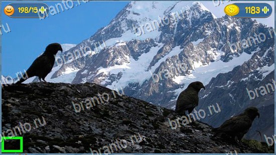 где кот ответы эпизод 110