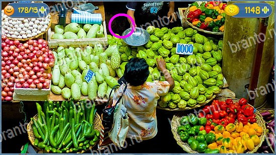 Где кот игра помощь уровень 2215