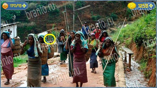 Помощь на игру Где кот уровень 2244