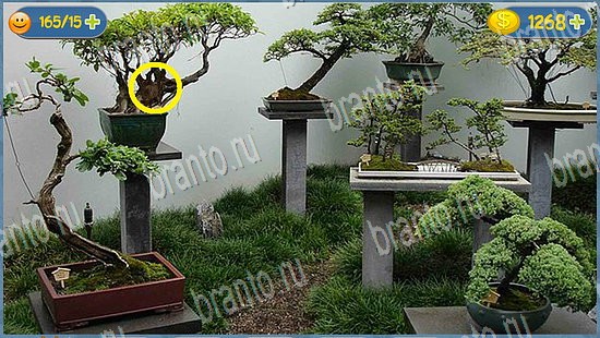 Где кот? подсказки уровень 2249