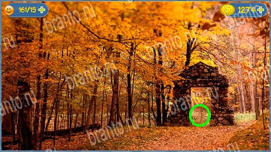 Где кот? решения уровень 2252