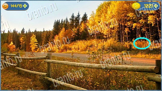 ответы Где кот