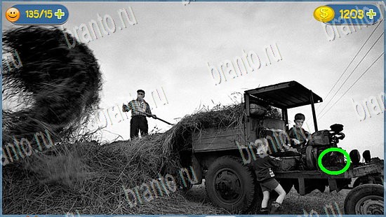 Где кот помощь в картинках