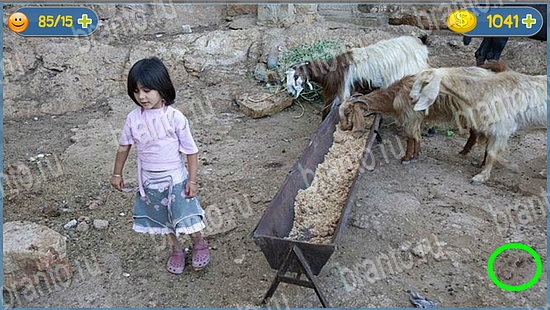 Где кот игра ответы