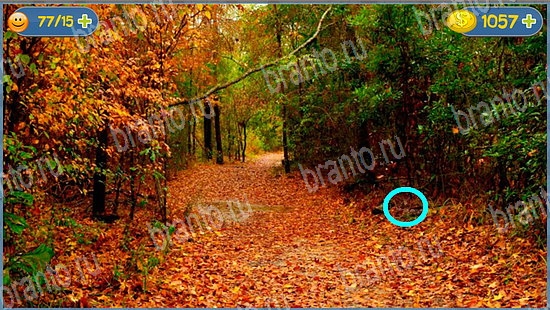 помощь на игру где кот уровень 2317