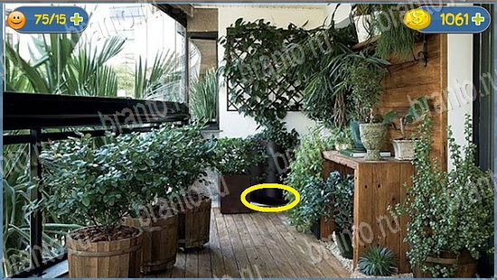 ответы на игру где кот уровень 2319