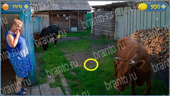 Решения на игру Где кот уровень 2323