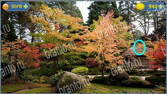 Прохождение игры Где кот