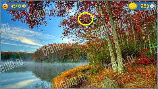 Где кот игра ответы