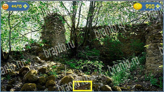 игра в одноклассниках Где кот ответы