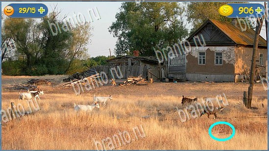 ответы к игре Где кот уровень 2365