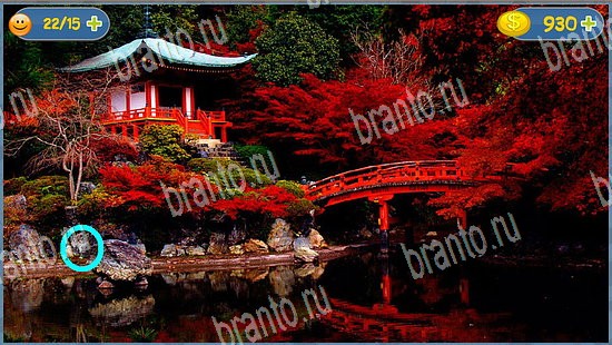 Где кот? решения уровень 2372