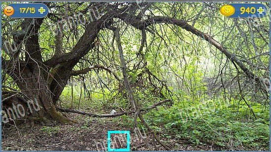 Игра Где кот ответы уровень 2377