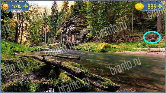 игра Где кот помощь уровень 2379