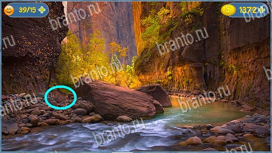 ответы Где кот